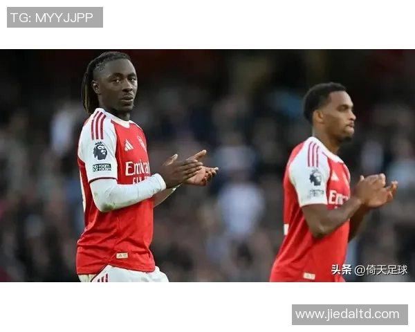 英超球队受非洲杯影响情况分析桑德兰或将缺少九名球员 英超球队受非洲杯影响情况分析桑德兰或将缺少九名球员